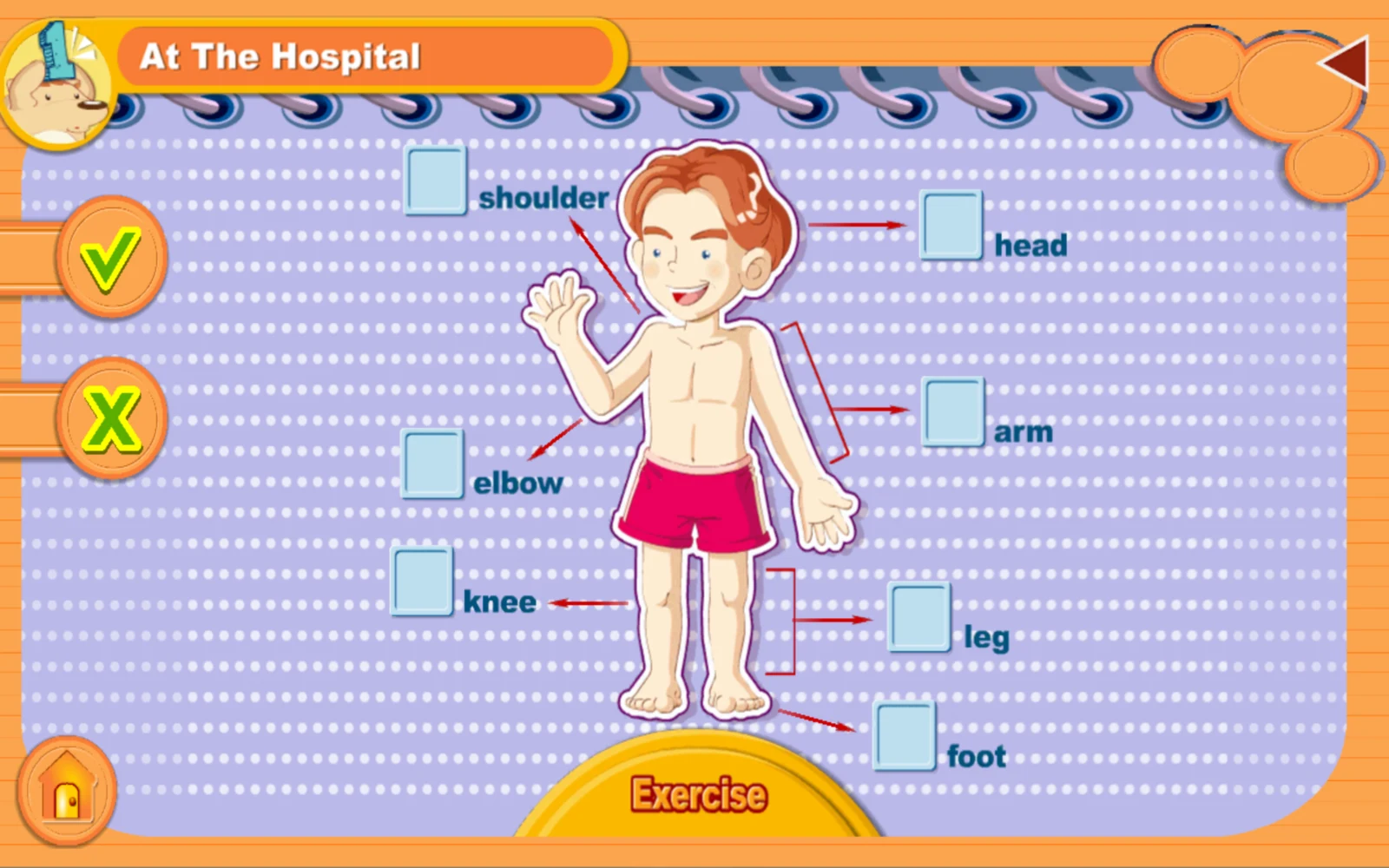 喬登美語會話進階：Exercise：對照對話，想想哪裡不舒服。