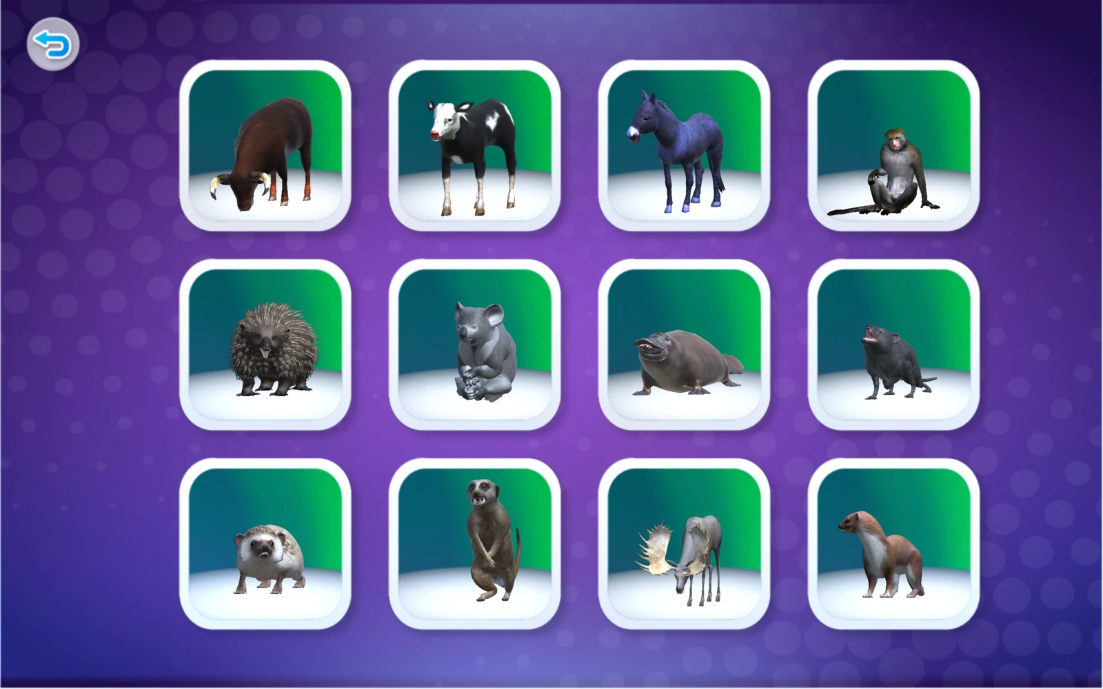 第4組動物的選擇清單