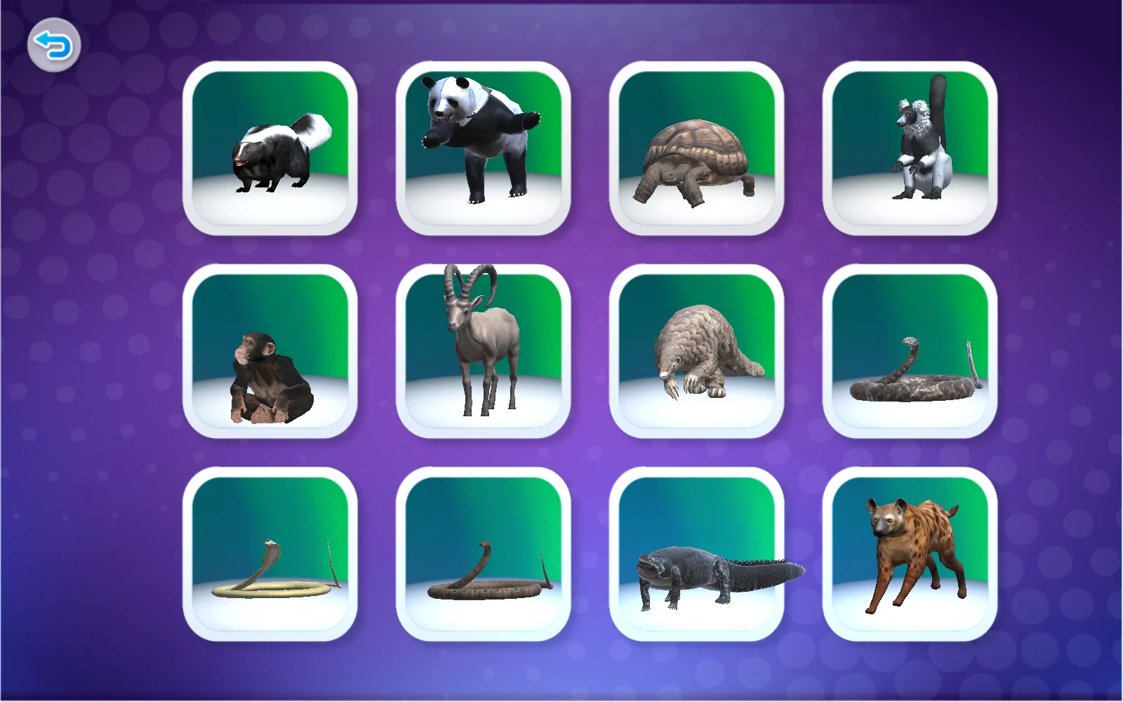 數字5動物清單