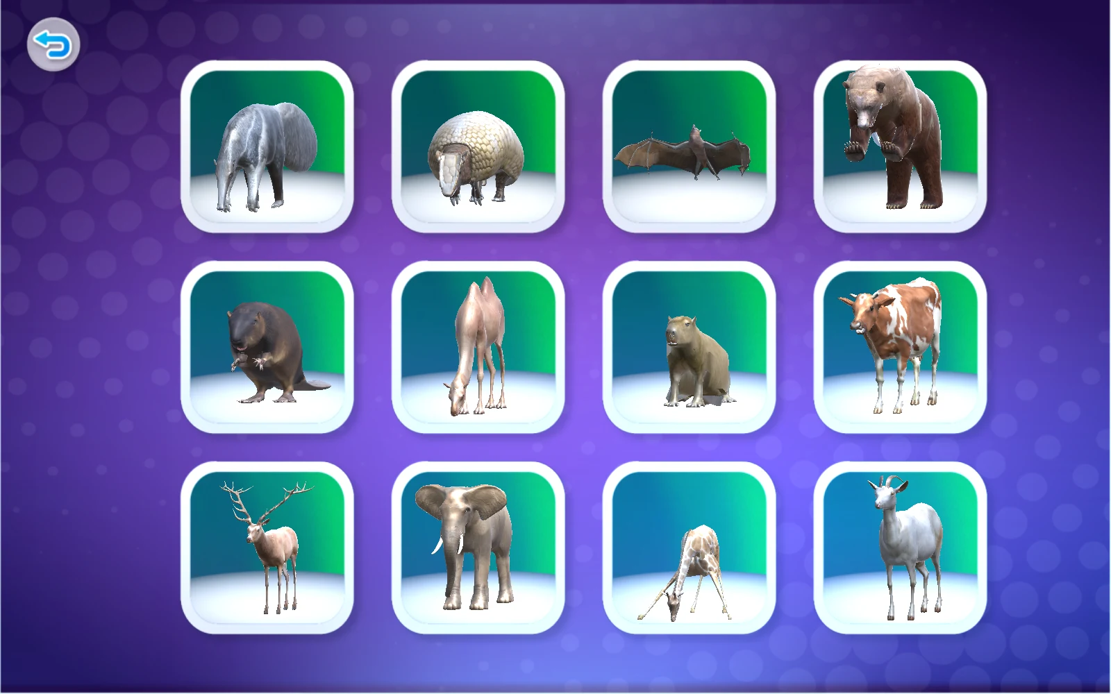數字1的動物選擇清單