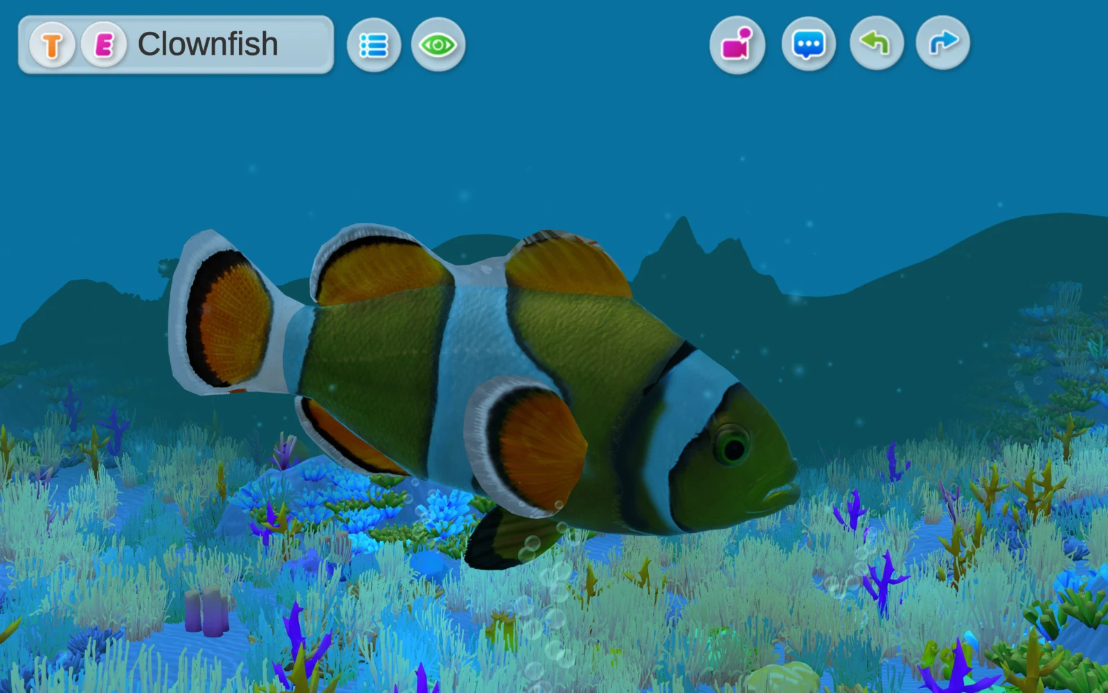完整入鏡的 Clownfish 水下場景