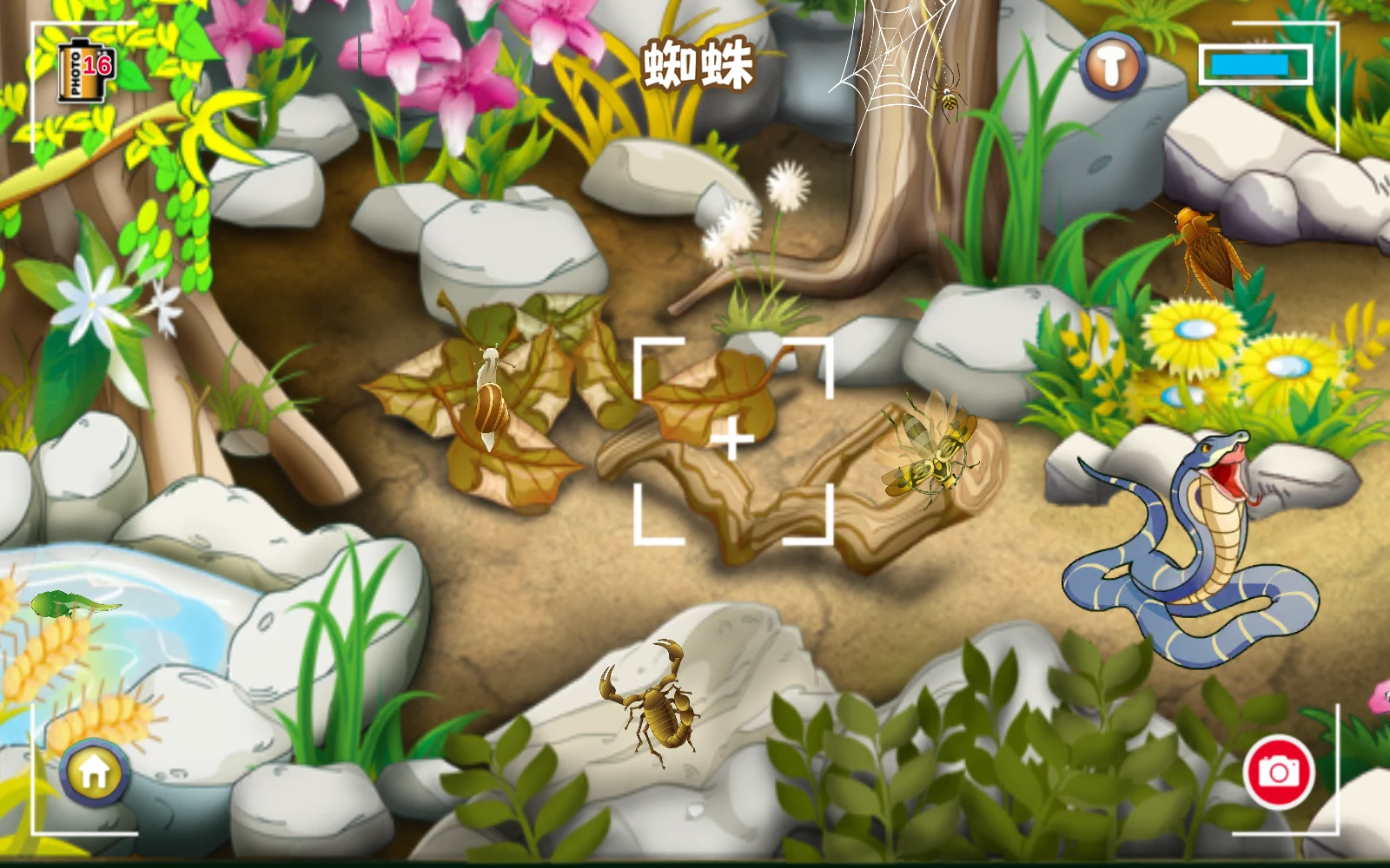 中文測驗的蜘蛛題目與取景框